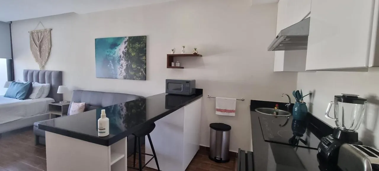 Apartamento Cozy Studio With Wifi & Netflix Playa del Carmen México