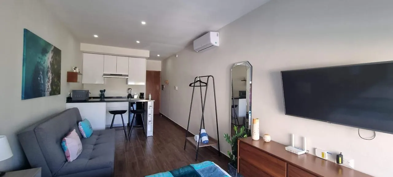 Cozy Studio With Wifi & Netflix Playa del Carmen Apartment